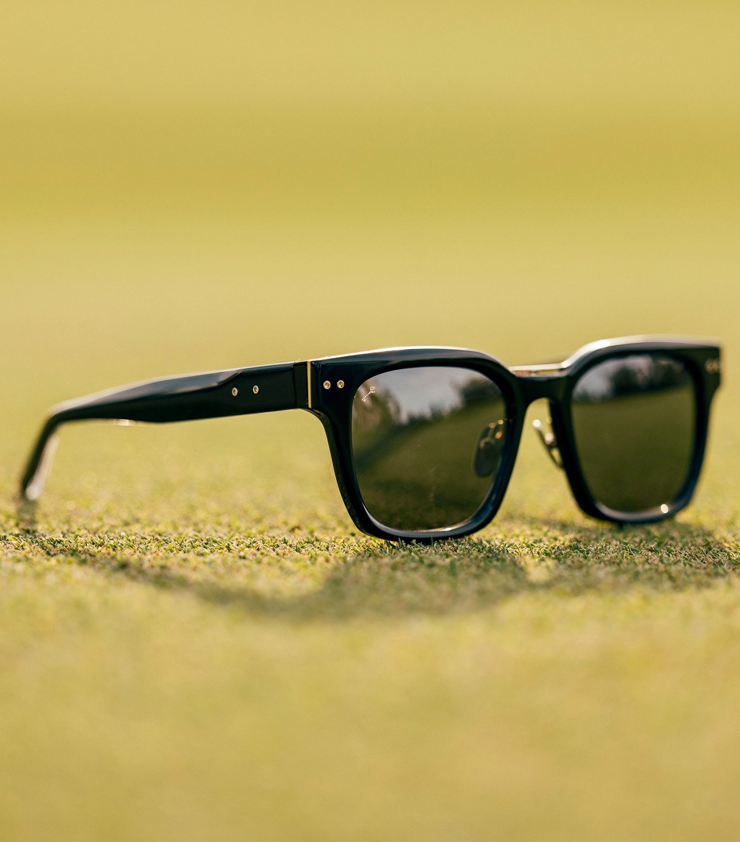 CD.sunglasses1_1500x.jpg?v=